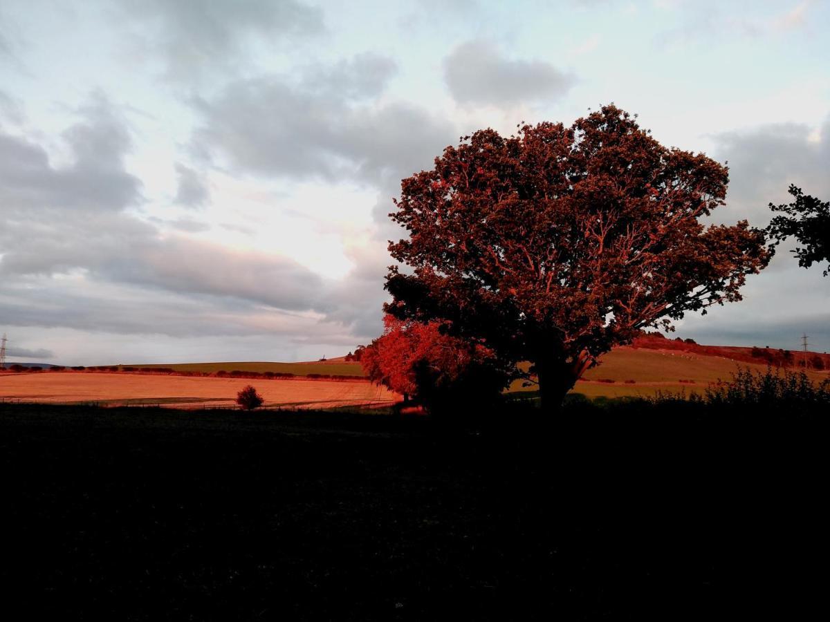 19 Park Views Just Outside Penrith For Holidays And Short Breaks Please No Commercial Vans Thankyou High Hesket 외부 사진