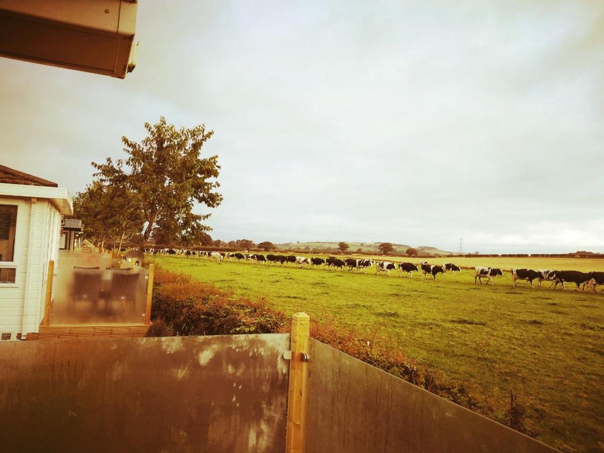 19 Park Views Just Outside Penrith For Holidays And Short Breaks Please No Commercial Vans Thankyou High Hesket 외부 사진